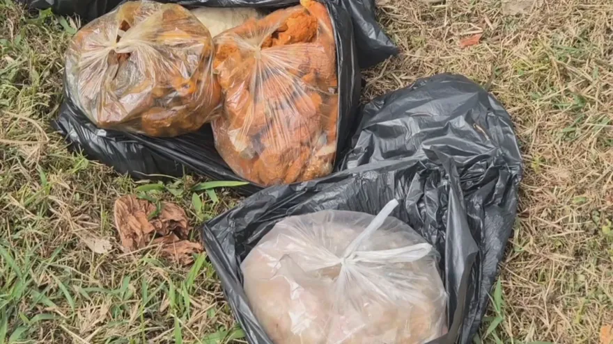 Carnes decomisadas por el Minsa en Atalaya