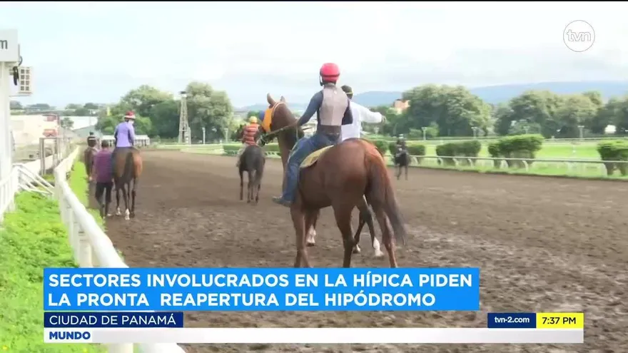 Sectores involucrados en la hípica piden la pronta reapertura del hipódromo