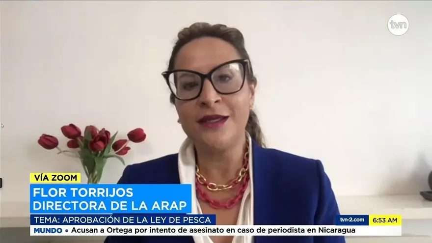 Polémica por reformas a la nueva ley de pesca en Panamá