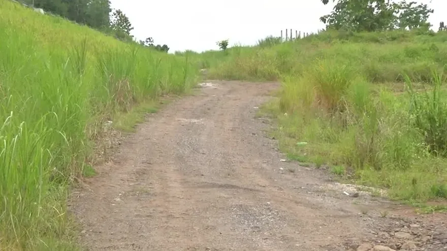 Peligro en el Naranjal de Pedregal