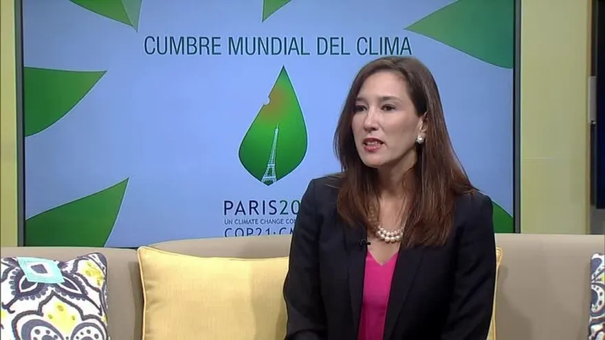 Mirei Endara, Ministra de Ambiente