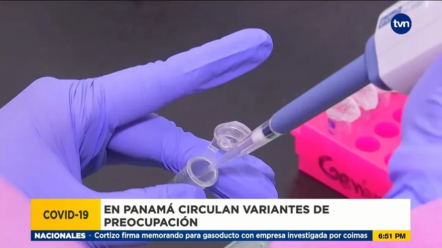 Dos variantes de preocupación son las predominantes en pacientes covid de Panamá
