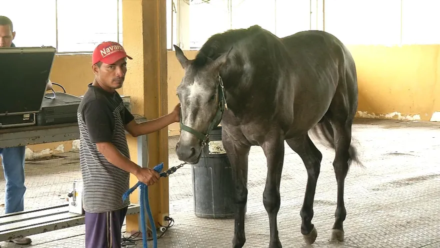 Cuatro casos de encefalitis en menores