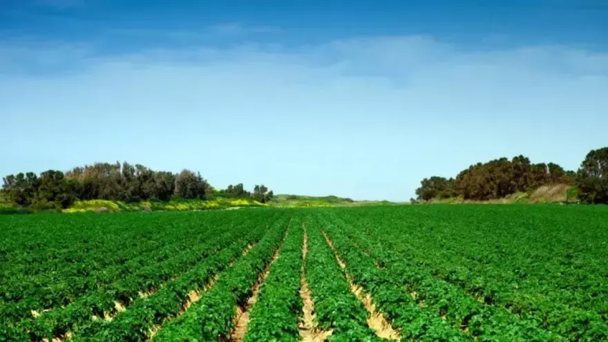 Imágen con fines ilustrativos de tierras agrícolas