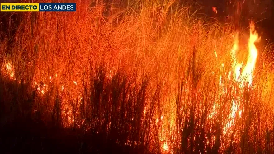 Bomberos sigue en labores de extinsión del incendio de masa