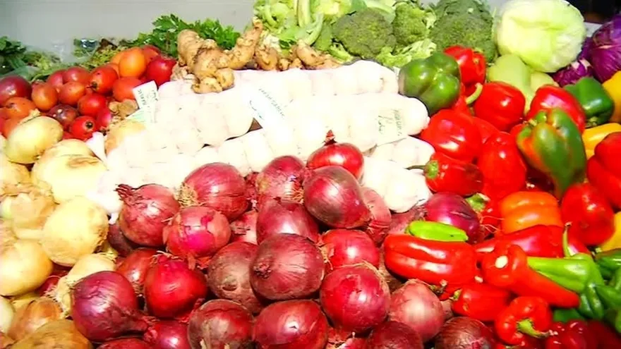 Disminuyen exportaciones en Panamá