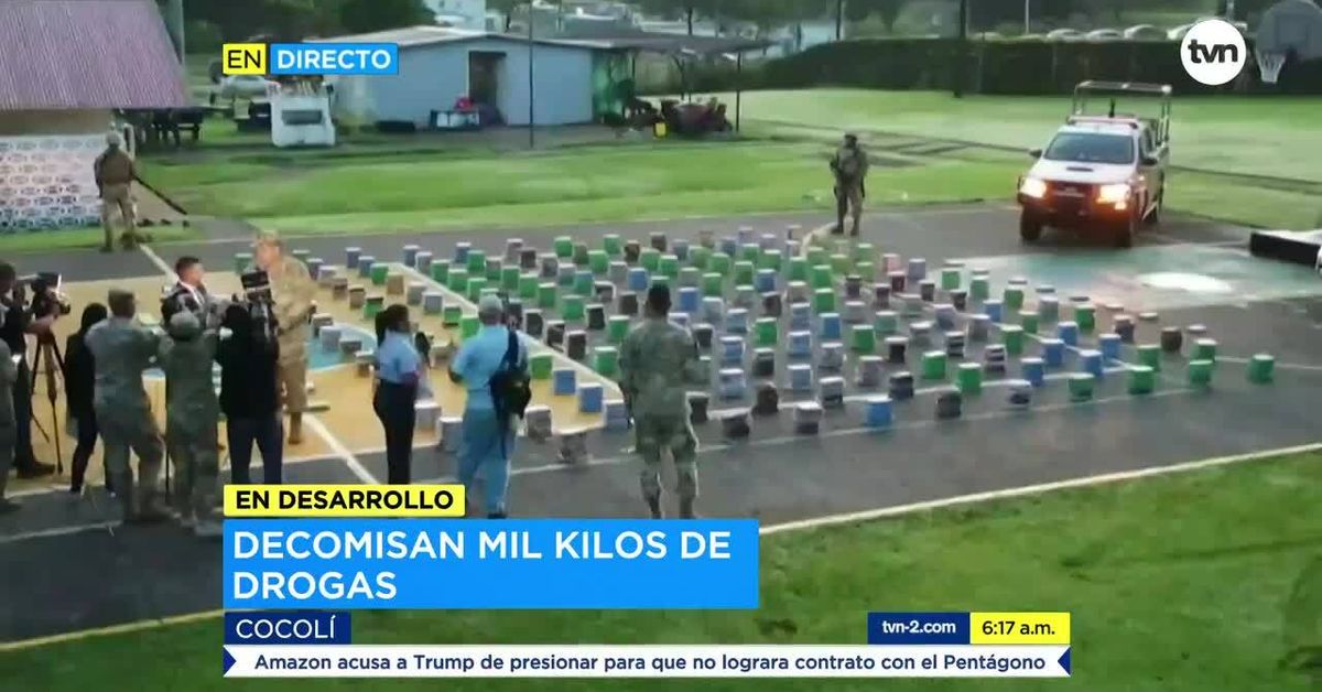 El Senan ha decomisado 50.6 toneladas de droga en lo que va 2019 ...