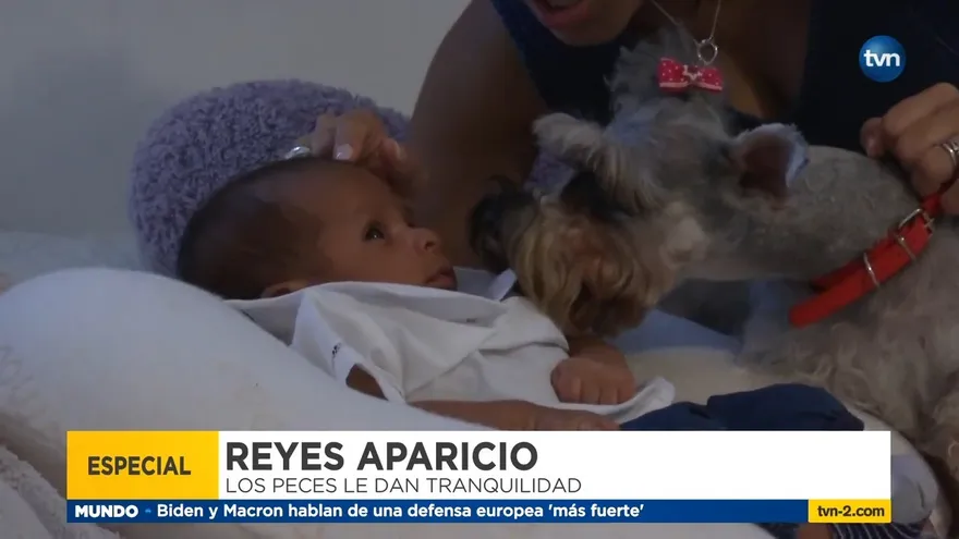 El poder de las mascotas