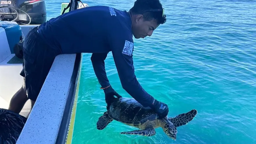 Personal en medio del monitoreo de tortugas carey en isla Coiba
