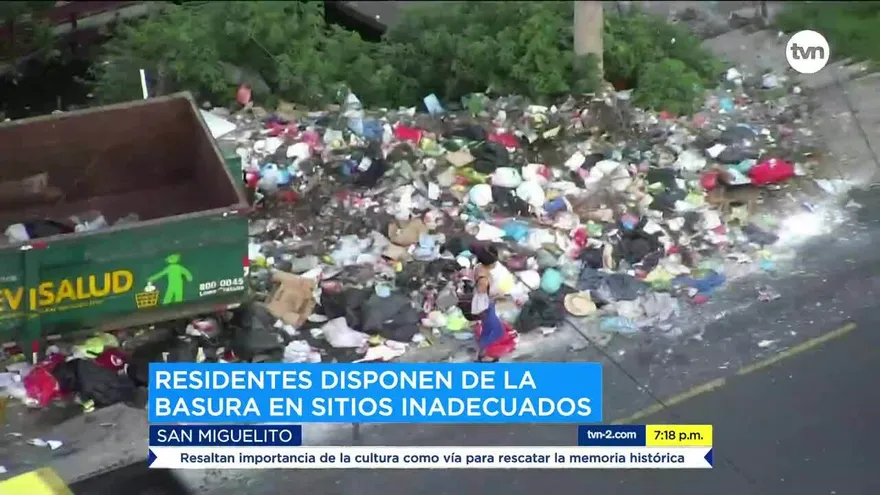 Colocarán inspectores para multar a los cochinos en San Miguelito