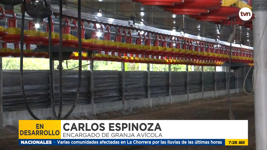 Apagones causan estragos en comercios en Panamá Oeste