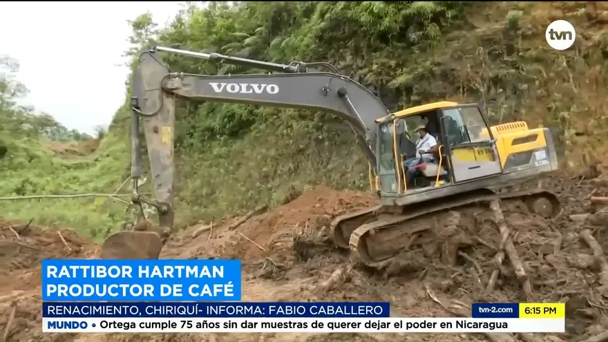Deslizamientos destrozaron cientos de plantaciones de café