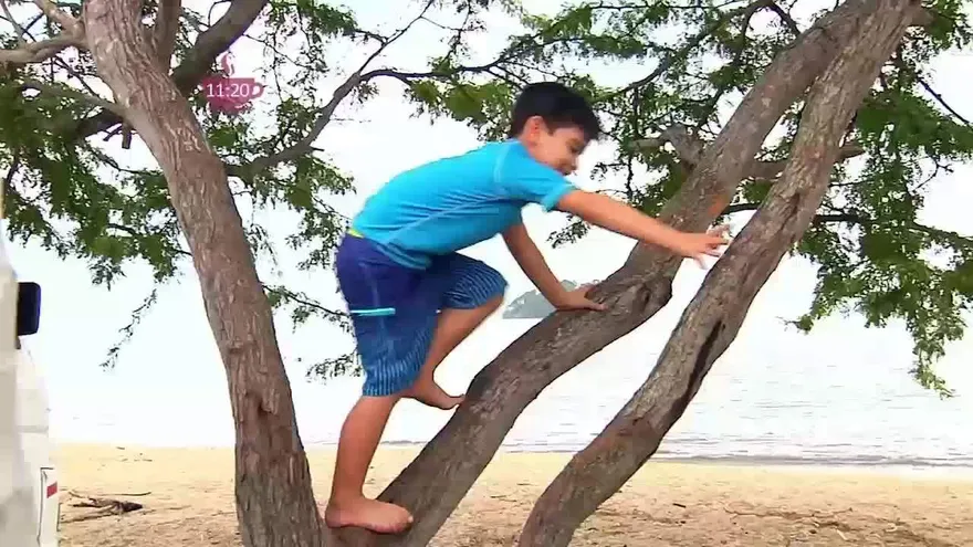 Mitos y verdades sobre Semana Santa en Panamá