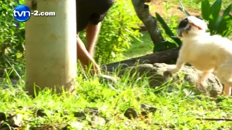 Playa Chiquita: Una comunidad abandonada