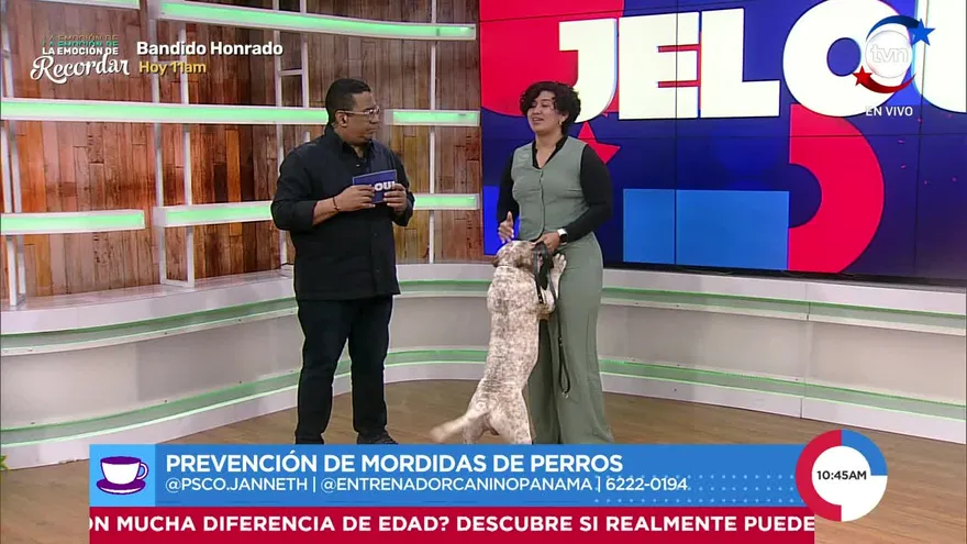 Prevención de Mordidas de Perros