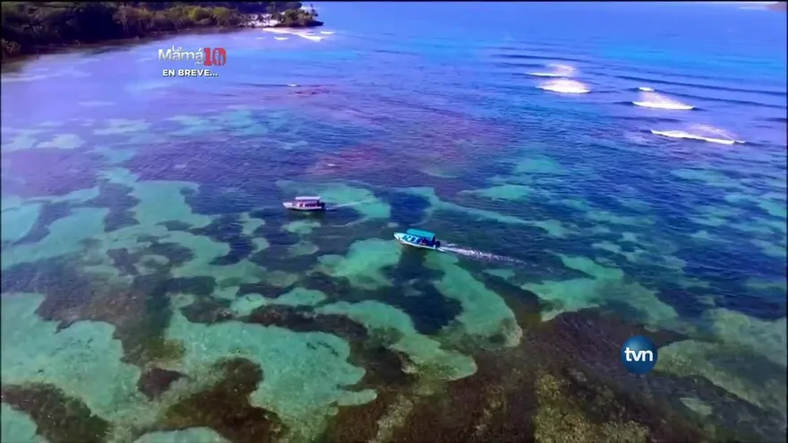 TVN Investiga: Bocas, entre el Caos y la Corrupción