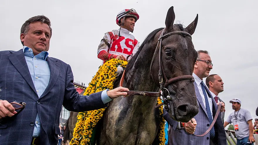 Cloud Computing con la corona de flores del Preakness Stakes sobre sus lomos