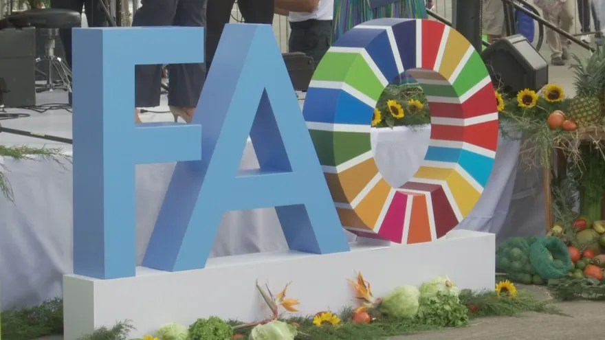 La FAO realizó una feria en Merca Panamá en conmemoración del Dia Mundial de la Alimentación