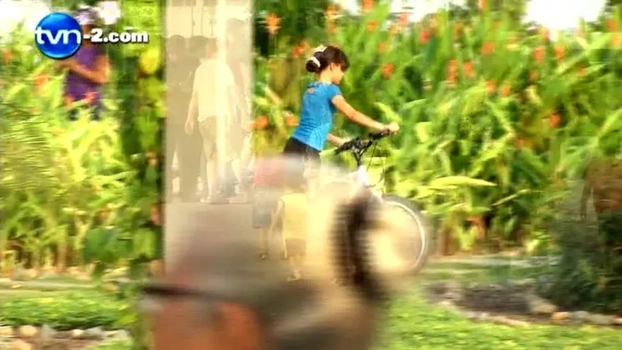 CUIDADOS DEL CABELLO EN VERANO