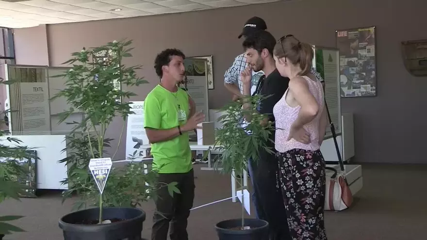 Expertos internacionales exponen en Uruguay el potencial del cannabis medicinal