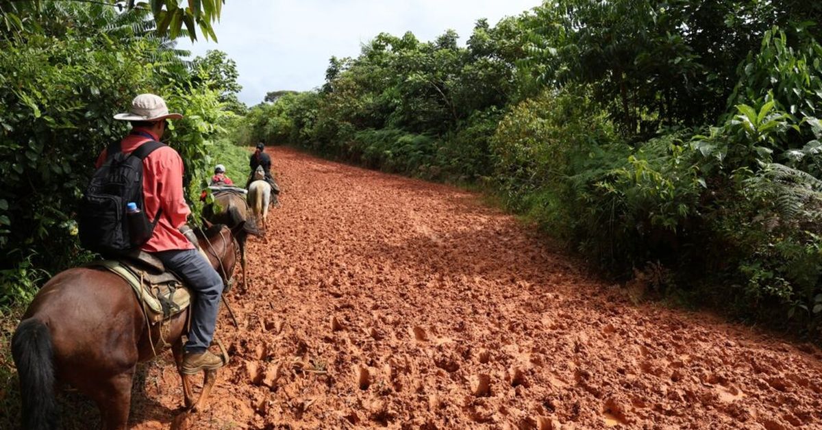Canal de Panamá adjudica construcción de nuevas carreteras en áreas del proyecto de Río Indio