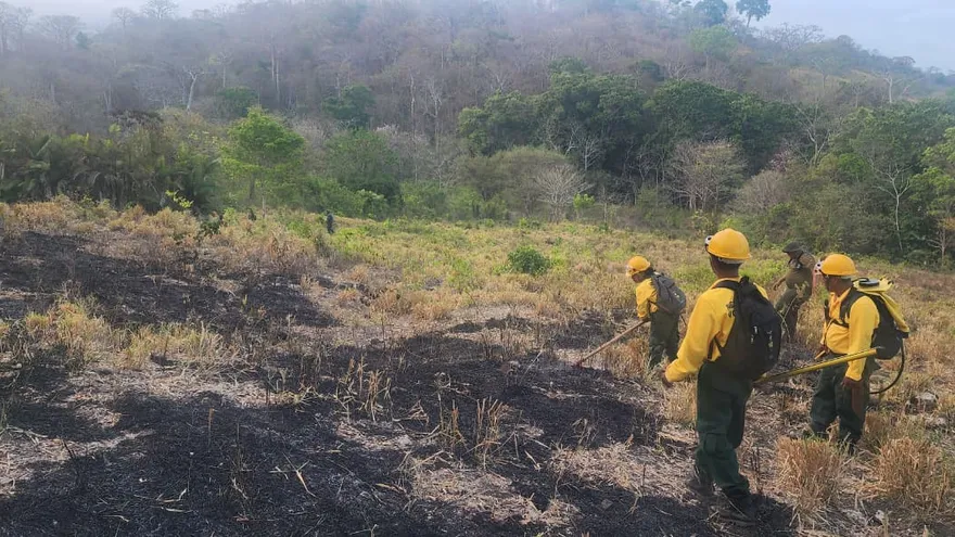 Aproximadamente 220 hectáreas de bosque tropical seco, rastrojo y pasto fueron consumidos por incendio que fue extinguido por equipos brigadistas voluntarios.