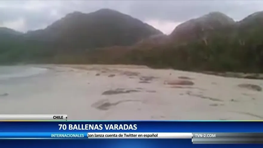 Noticias y Más 20 de julio del 2016 - Bloque 2