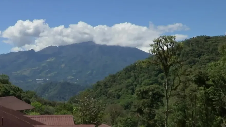 El café más fino del mundo está en Boquete