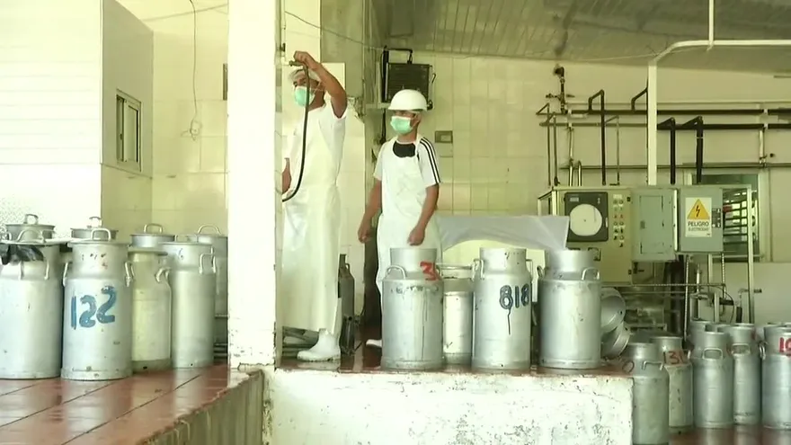 Productores de queso se reúnen en Azuero